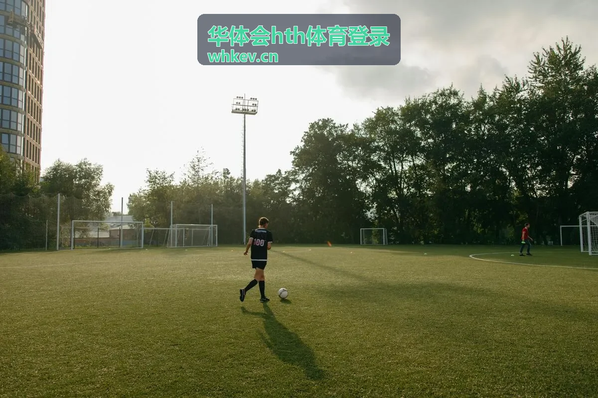 华体会hth体育登录赛季前瞻内容